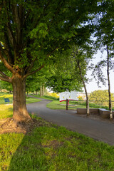 path in the park along waterway view 