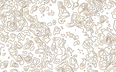 Topographic map lines, contour background. Abstract line of the topographic map. Geographic abstract grid. Design illustration for wall art, fabric, packaging, web, banner, wallpaper.