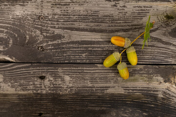rustic weathered wood background with acorns