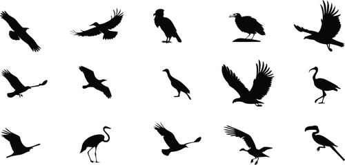 Diverse Bird Silhouettes A Scalable Graphic for Logo Design Branding and Decoration