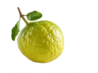 A whole, textured citrus fruit with a short stem and two green leaves sits on a white background in focus under bright studio lighting showing its vibrant color.