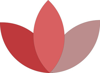 Flowers petal on isolated