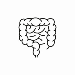 human intestine organ icon sign vector