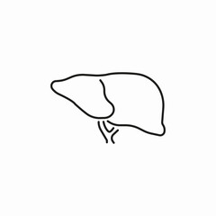 liver organ icon sign vector