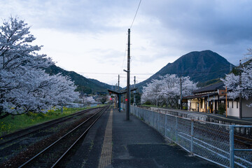 桜咲く春の日田彦山線の採銅所駅