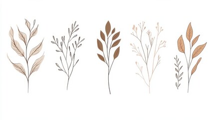 Minimalist abstract art shapes vector collection. Set of doodle elements, hand drawn organic shape, leaf, branches. Minimal style element with earth tone color for decoration, ads, prints, branding. 