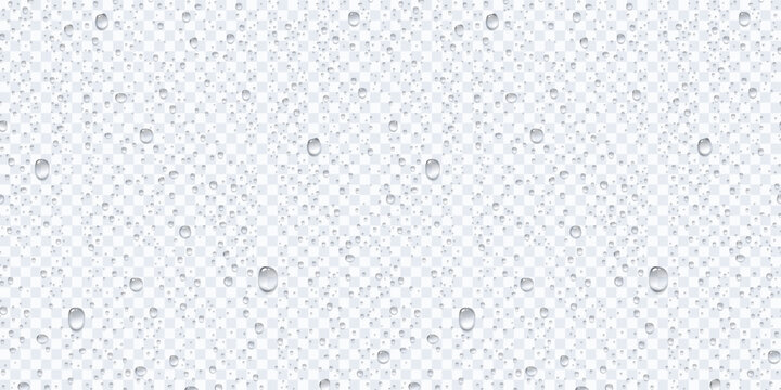 Water rain or shower drops seamless border isolated on transparent background. Realistic pure droplets condensed texture. Vector clear vapor bubbles on window glass surface