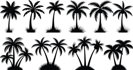 palm trees silhouette set, tropical coconut, isolated on white background