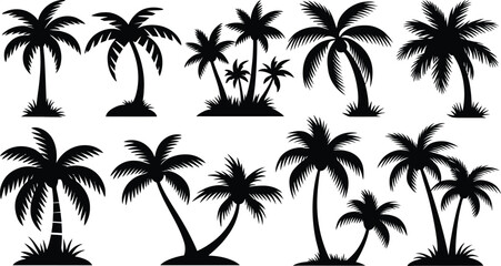 palm trees silhouette set, tropical coconut, isolated on white background