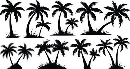 palm trees silhouette set, tropical coconut, isolated on white background