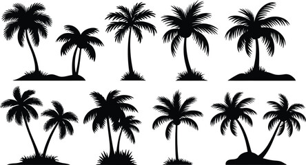 Naklejka premium palm trees silhouette set, tropical coconut, isolated on white background