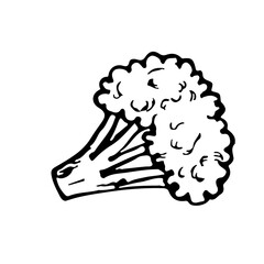 Broccoli. Vector graphics, black and white hand-drawn illustration. For recipes, cooking, menu design and decoration of eateries, restaurants, banners.
