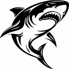 Black and white shark vector illustration aggressive predator sea animal marine life underwater dangerous ocean fish 100