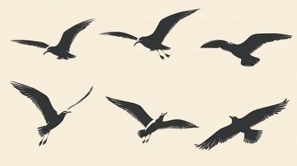 Obraz premium Set of seagull silhouette vector illustration