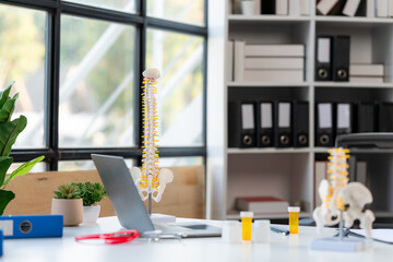 Spine Model on Doctor's Desk