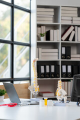 Spine Model on Desk in Modern Office