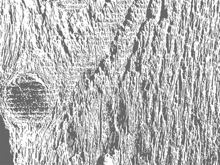 Gray Wood with Knot Texture Vector Background