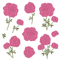 Set chalk rose, peony flowers. Botanic blossom floral branches, leaves, bud on stem. Hand drawn garden peonies or roses plant collection. Freehand vintage pencil textured vector illustration isolated