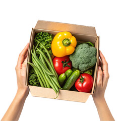 Hands Holding Cardboard Box Filled with Fresh Vegetables and Yellow Produce