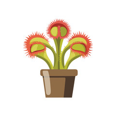 Venus Flytrap Plant in Pot Illustration of Carnivorous Plant