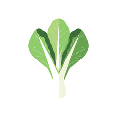 Bok Choy Illustration Vibrant Green Vegetable Graphic for Culinary Health and Farming Resources
