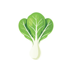 Vibrant Bok Choy Illustration Fresh Vegetable Graphic