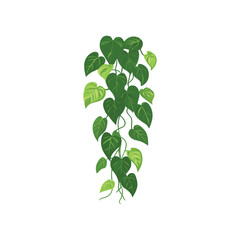 Vibrant Green Plant Illustration Perfect for Home Decor  Design Projects