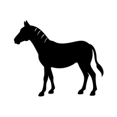 Illustration of a black zebra silhouette equine animal vector art graphic design image drawing clipart