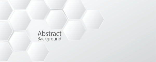 modern abstract background with white and gray hexagon shapes. vector illustration design