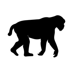 Illustration of a black silhouette of a primate walking side view animal wildlife art