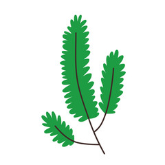 Leaf vector colorful on transparent background