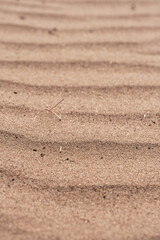 Close up of sand dune texture. Abstract background and texture for design.