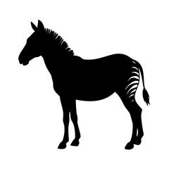 Black and white zebra silhouette vector illustration wildlife animal africa safari mammal equine zoo art