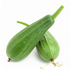 Luffa Gourds on Isolated White Background &ndash; Mature Sponge Gourd with Rough Surface and Natural Depth of Field