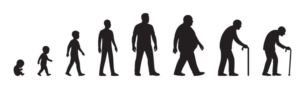 Black silhouette icon set of male life stages from fetus to elderly including baby, toddler, child, teenager, adult man, middle aged, senior person. human aging process, life cycle evolution, lifetime