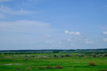 Fototapeta premium beautiful landscape under cloudy sky
