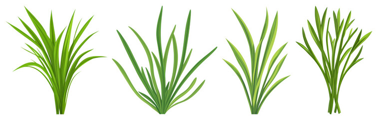 PNG Vibrant green grass illustrations, element set on transparent background