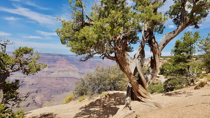 joshua tree national park great canyon © Ensapa37