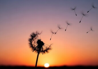 Dandelion silhouette at sunset with floating seeds and vivid gradient sky
