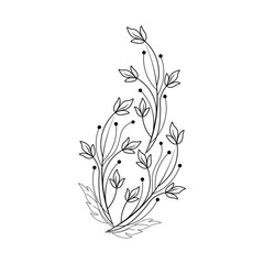 An illustration of a vectors different type of  flowers, traditional and cultural alpona design in continuous line art drawing style.