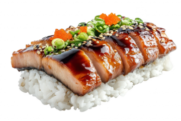Delicious unagi sushi rice bowl isolated on transparent background