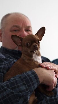 A small dog is sitting in the arms of an elderly man. A cute pet in your arms. Dad and the puppy. Senior man with his dog sitting and sharing love. Man holding a dog in a retirement home.