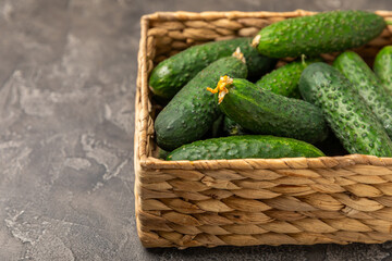 Cucumber on wooden background. Slice of cucumber on background. Fresh organic green cucumbers gherkin. Vegan. Salad ingredient. Farm vegetables. Cut vegetables with knife. Space for text. Copy space