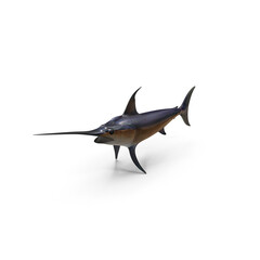 Swordfish side view isolated on transparent background