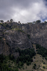 Columnar basalt cliffs rise toward a cloudy sky, framed by Araucaria trees. Patagonia's unique landscape