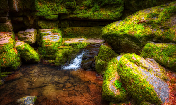 waterfall in the forest