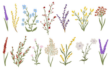 Big set chalk texture botanic blossom floral elements. Branches, leaves, herbs, wild plants, flowers. Crayon hand drawn garden, meadow, field collection. Vector illustration isolated. White background