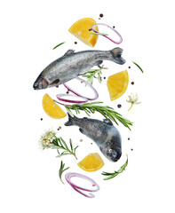 Sea trout with rosemary branches and lemon slices in the air isolated on white background