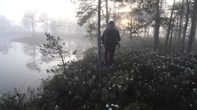 a man is walking along the blooming lakeshore