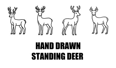 Hand drawn standing deer animal sketch with antlers wildlife forest creature silhouette vector illustration black and white rustic style for nature design

